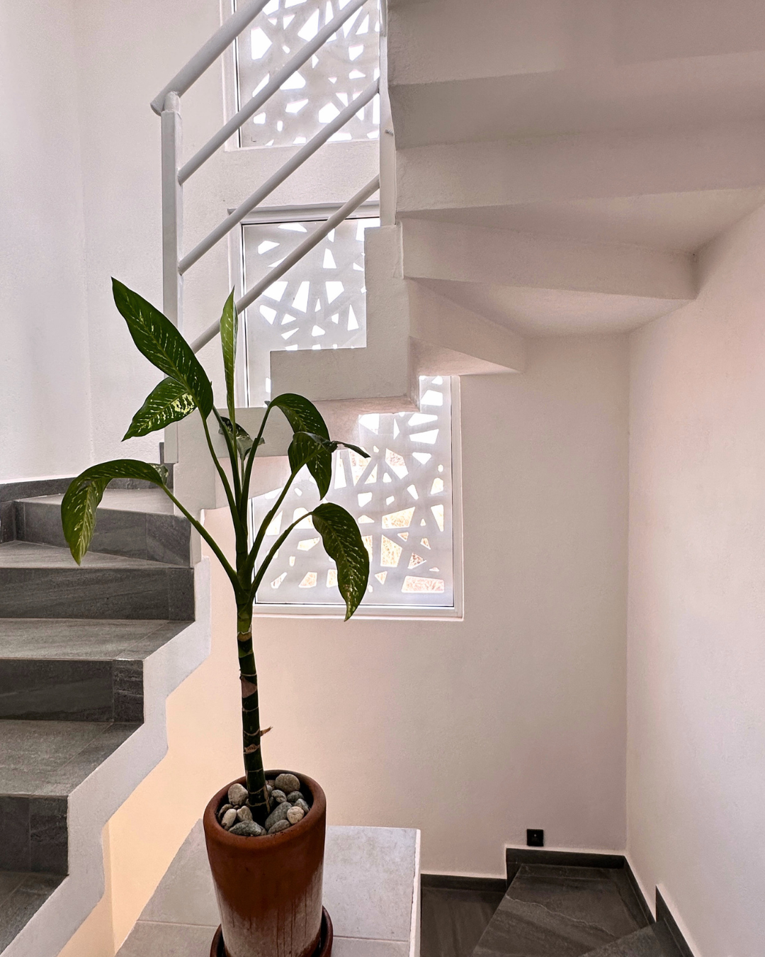 Casa Escondida con vista al mar, cerca de la Punta Zicatela 7