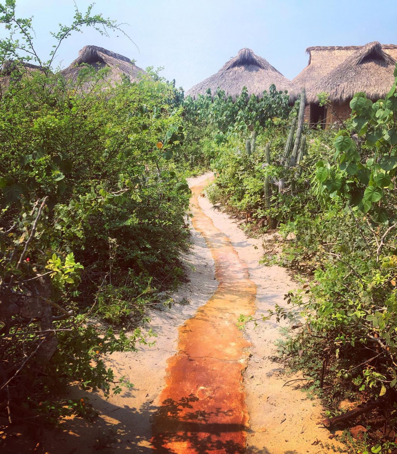 Casa Pacífico – Puerto Escondido, Oaxaca 2