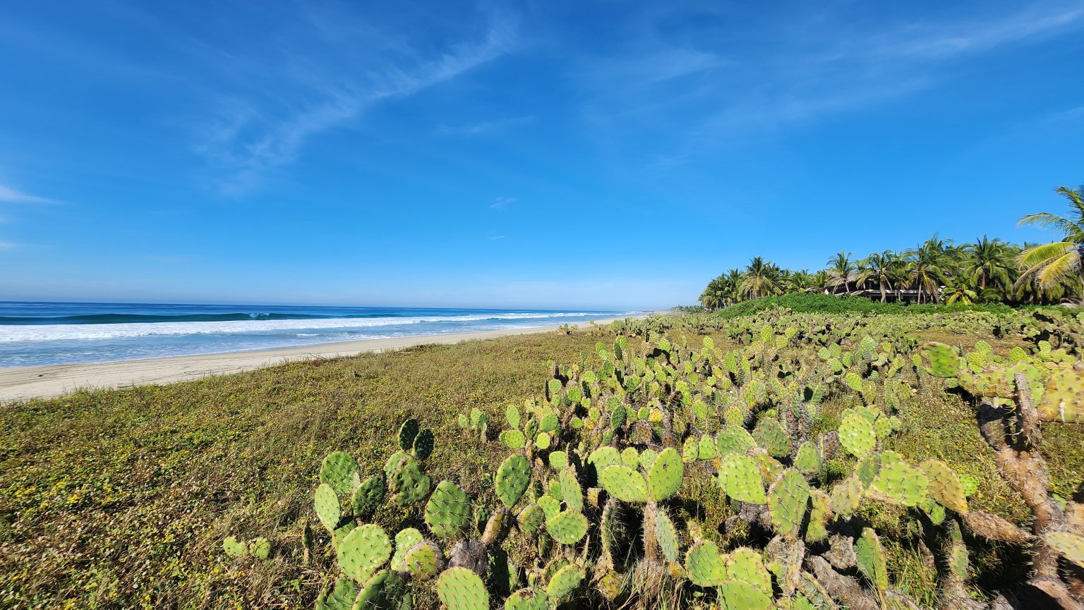 Casa Parota - Tomatal Beach, Oaxaca 4