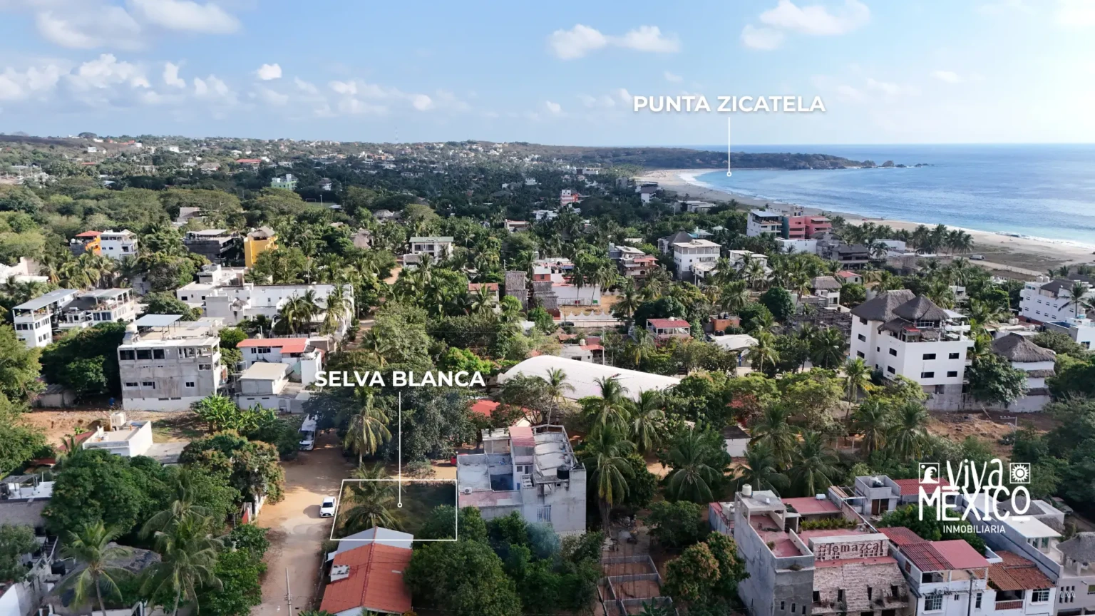 Selva Blanca– Puerto Escondido, Oaxaca 9