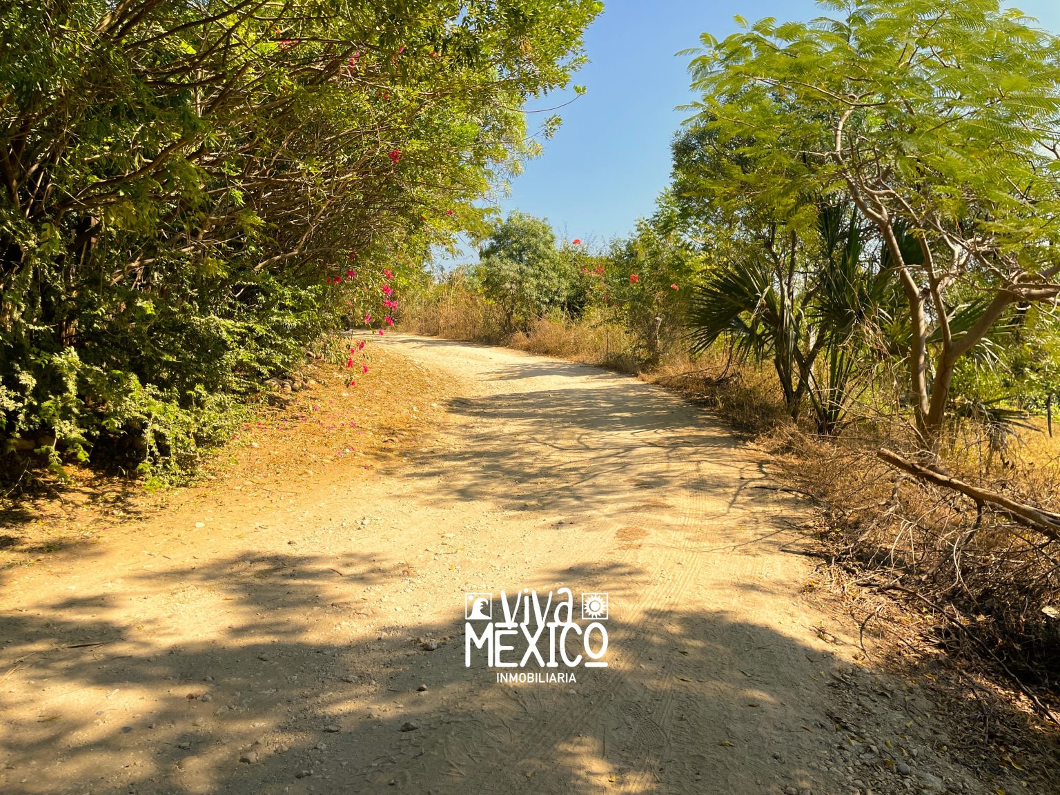 Lote Oaxtuxtla - La Barra Colotepec, Oaxaca 5
