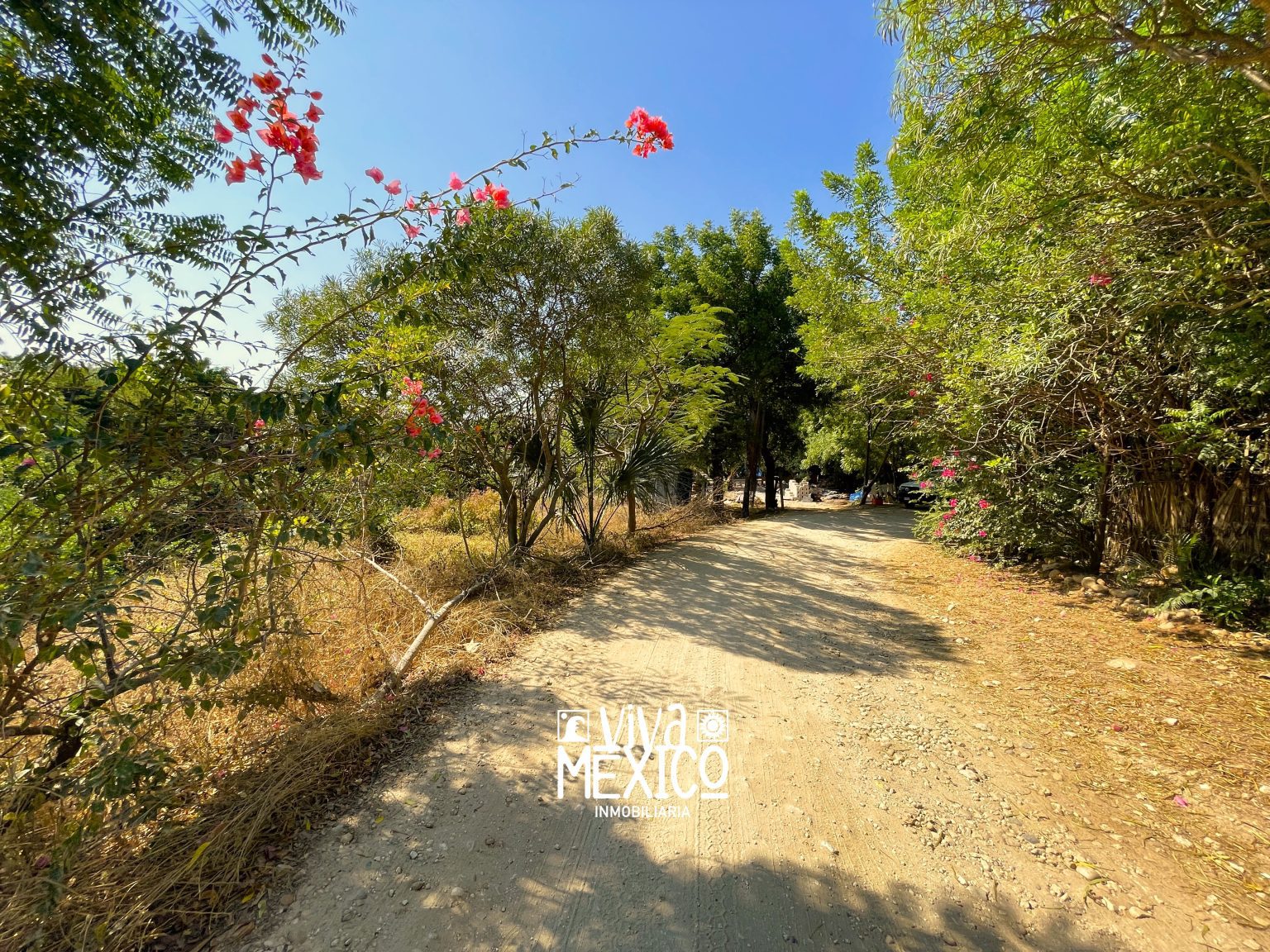 Lote Oaxtuxtla - La Barra Colotepec, Oaxaca 10