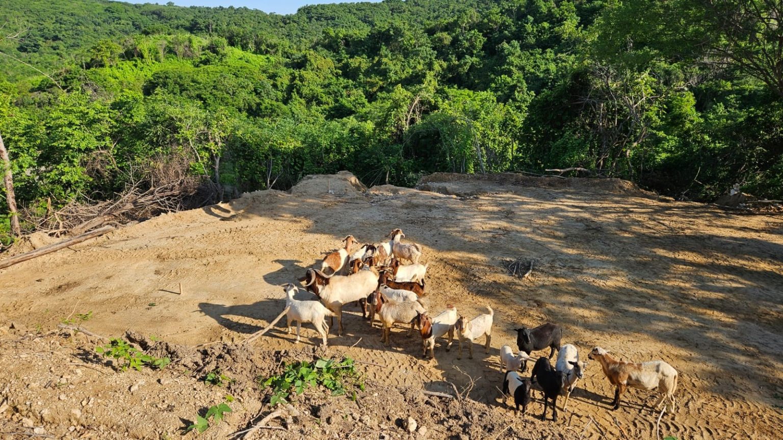 Rancho de las Estrellas – Chacahua, Oaxaca 7
