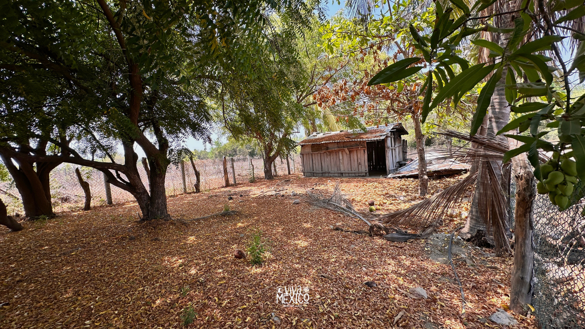 Land near the Sea at El Puertecito Beach – Puerto Escondido, Oaxaca 9