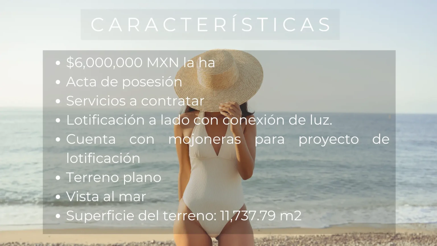 Hectarea en Playa Palmarito – Oaxaca, México 5