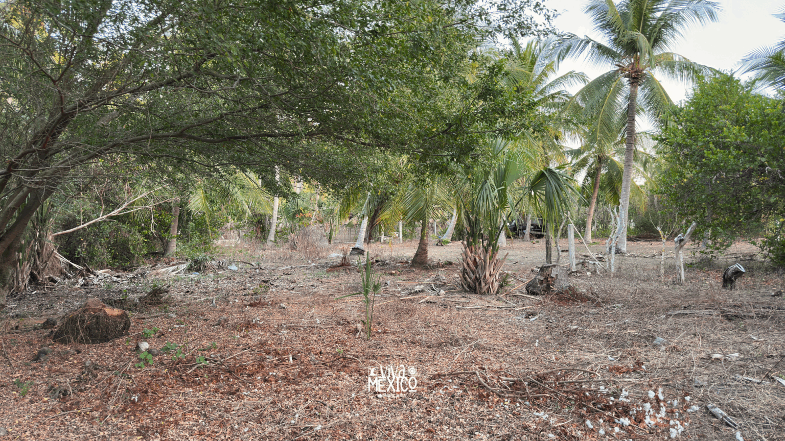 Lot in Ventanilla Beach, Tonameca