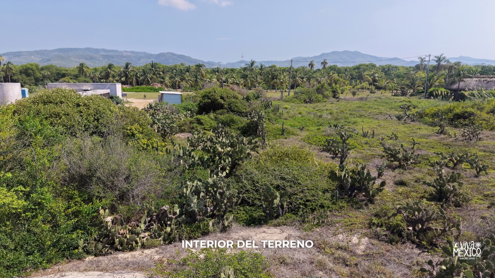 Oceanfront Lot in the Los Naranjos Residential Community, La Ventanilla, Colotepec – Oaxaca | 3,500 m² with 25 m of beachfront 3