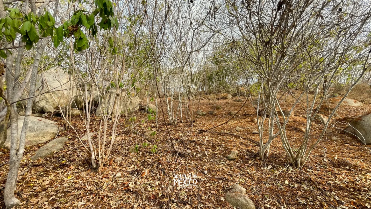 Land Portfolio in Playa El Venado, Oaxaca 7