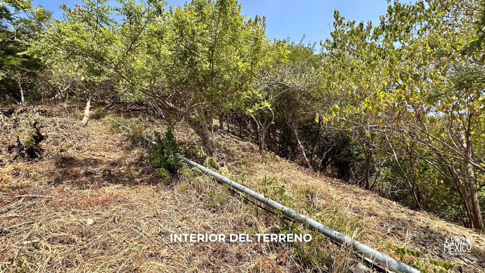 Terreno en Venta en Mazunte, Oaxaca con 2,613.267 m² y Vista al Mar 2