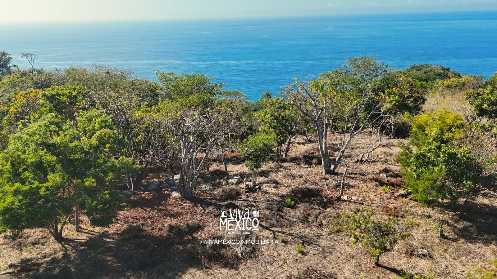 Terreno en Playa Mermejita, Mazunte, con Vista al Mar 7