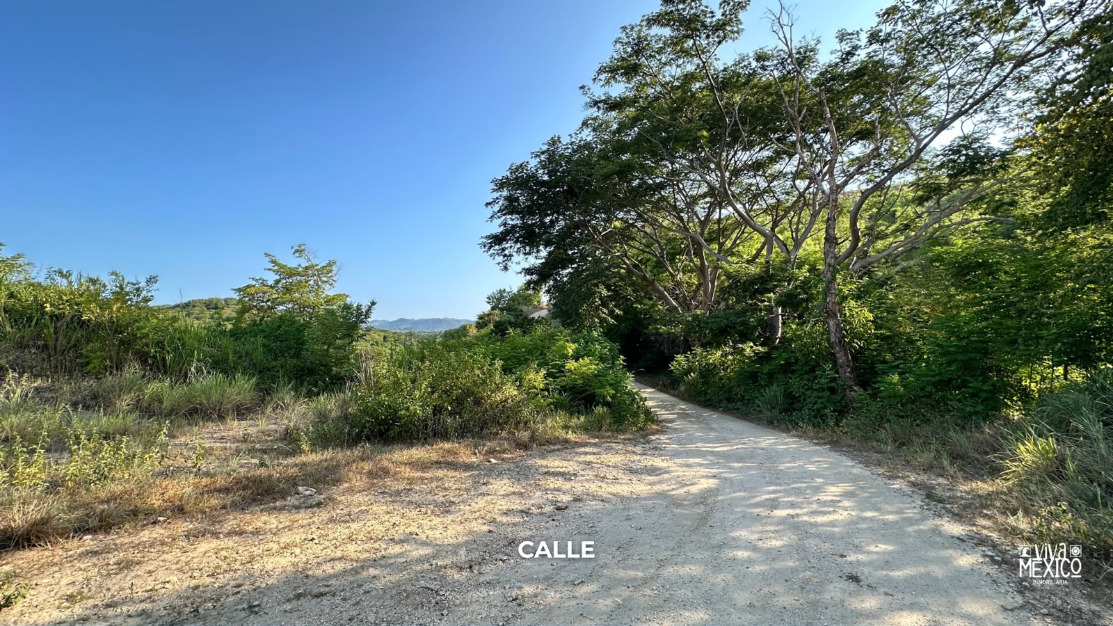 Terreno en Venta Frente al Rio del Quequestle, Santa Maria Colotepec 5