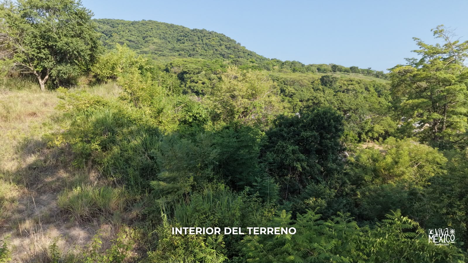Terreno en Venta Frente al Rio del Quequestle, Santa Maria Colotepec 8