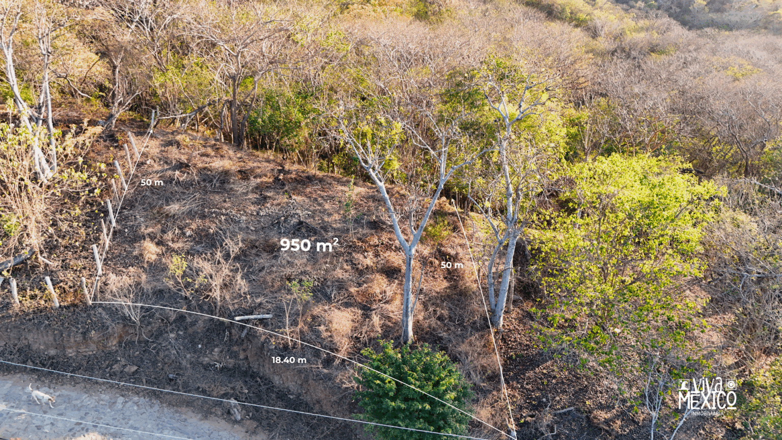 Terreno con vista al mar en Mazunte, Oaxaca 3
