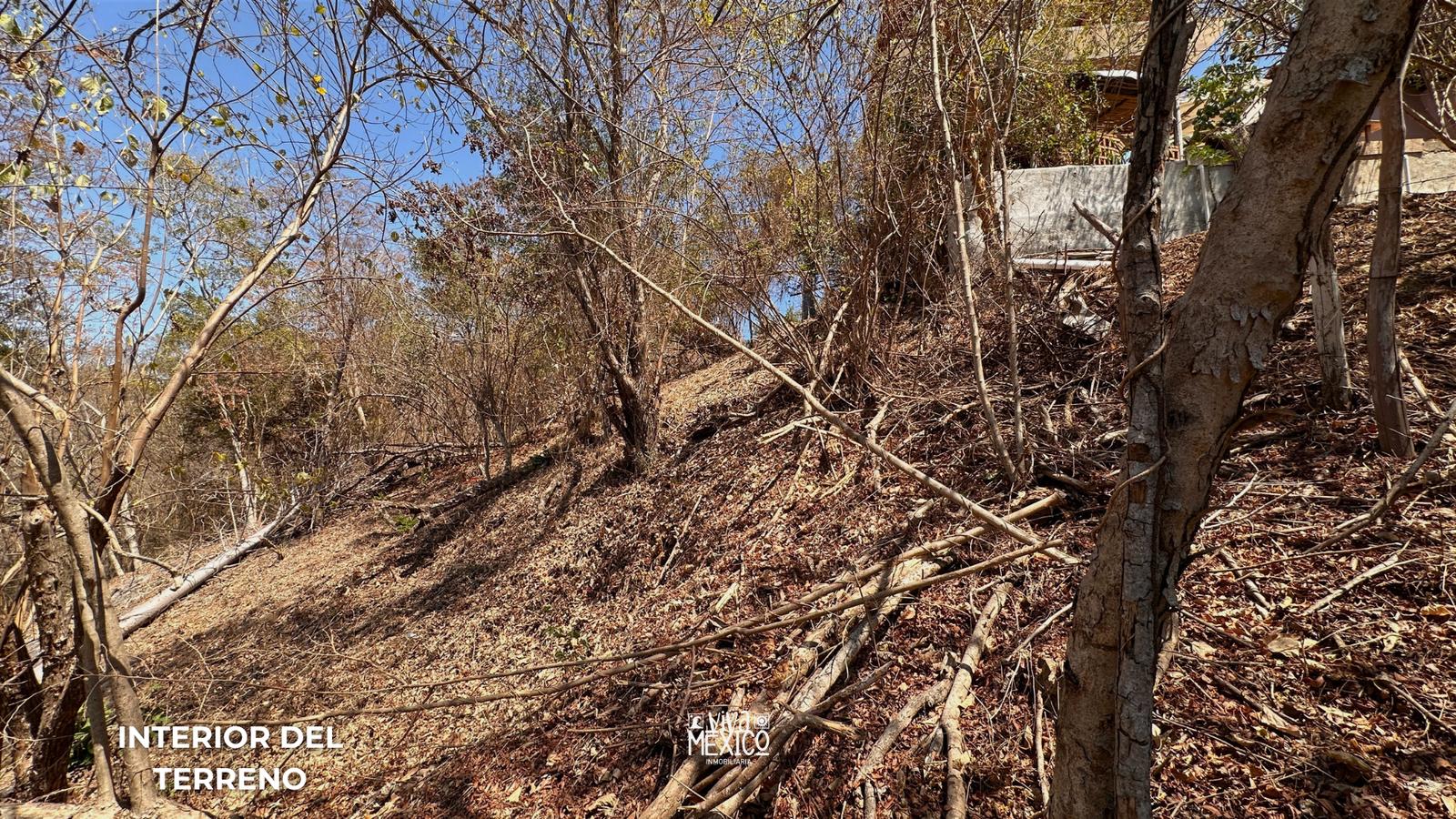 Land with Ocean View for Sale near Mazunte – Aragón Beach, Oaxaca 3