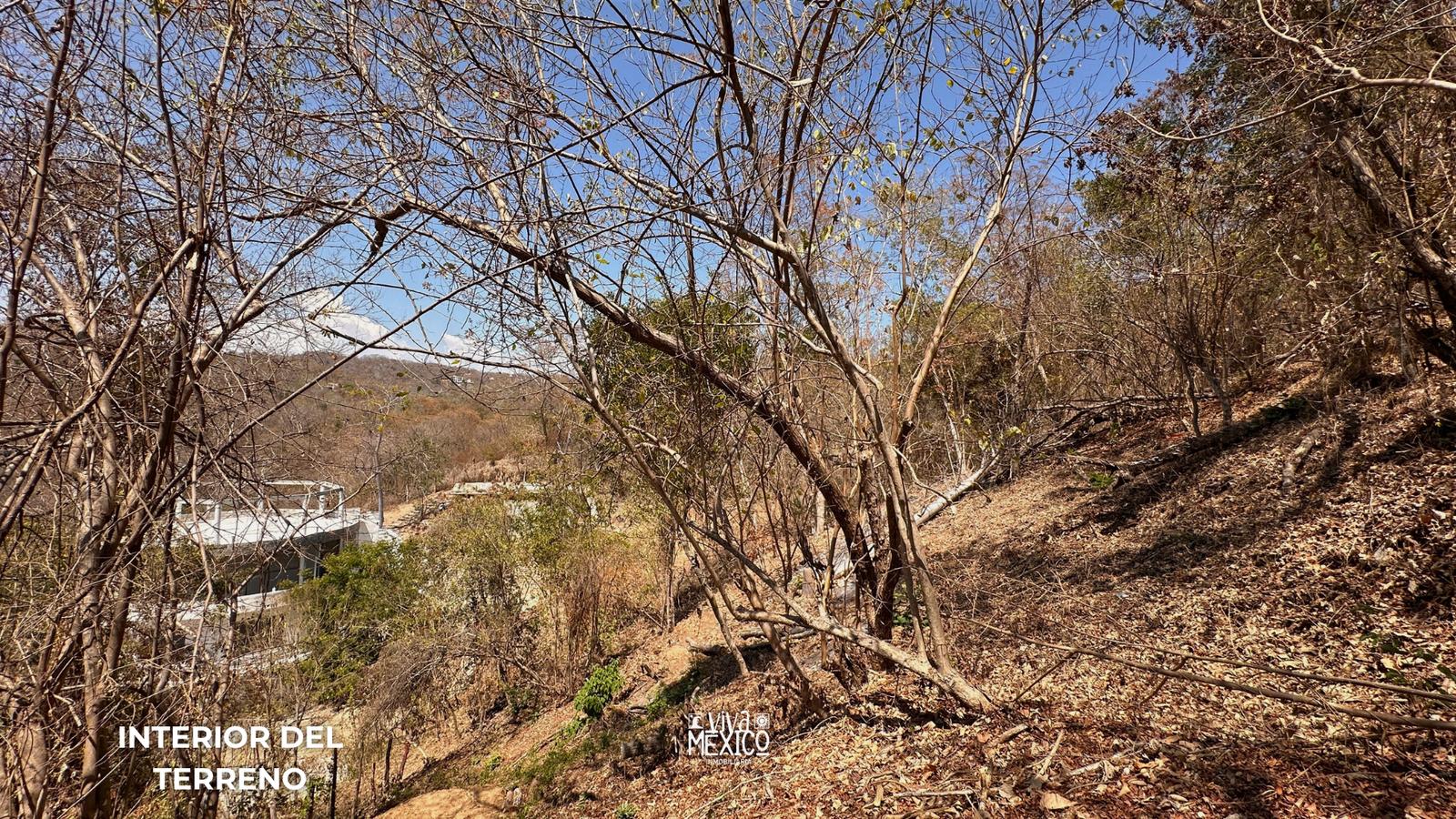 Land with Ocean View for Sale near Mazunte – Aragón Beach, Oaxaca 4
