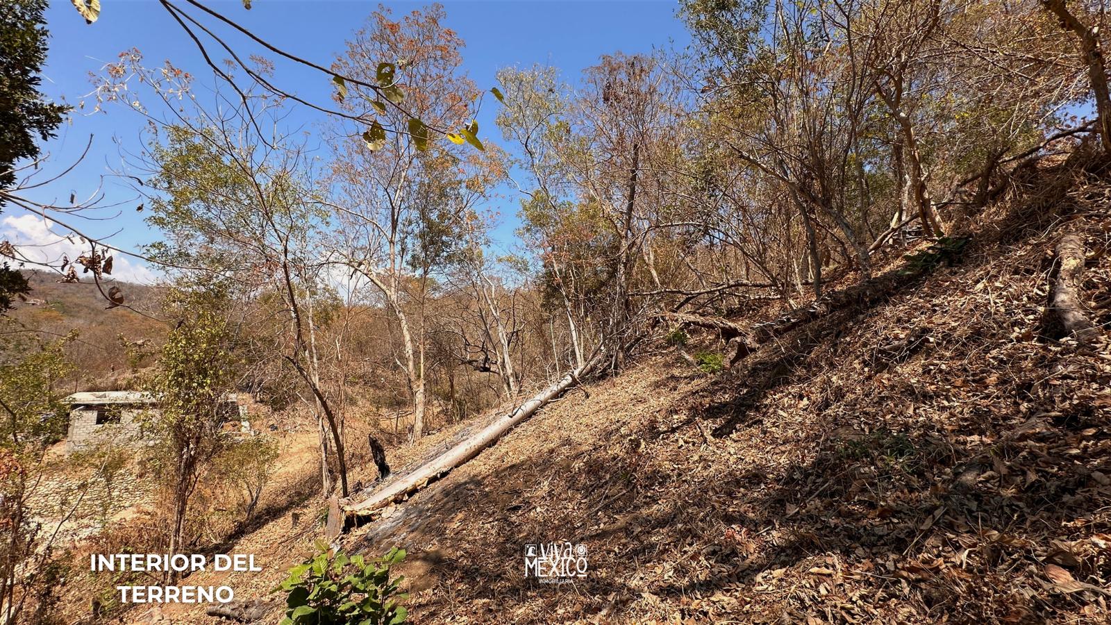 Land with Ocean View for Sale near Mazunte – Aragón Beach, Oaxaca 5