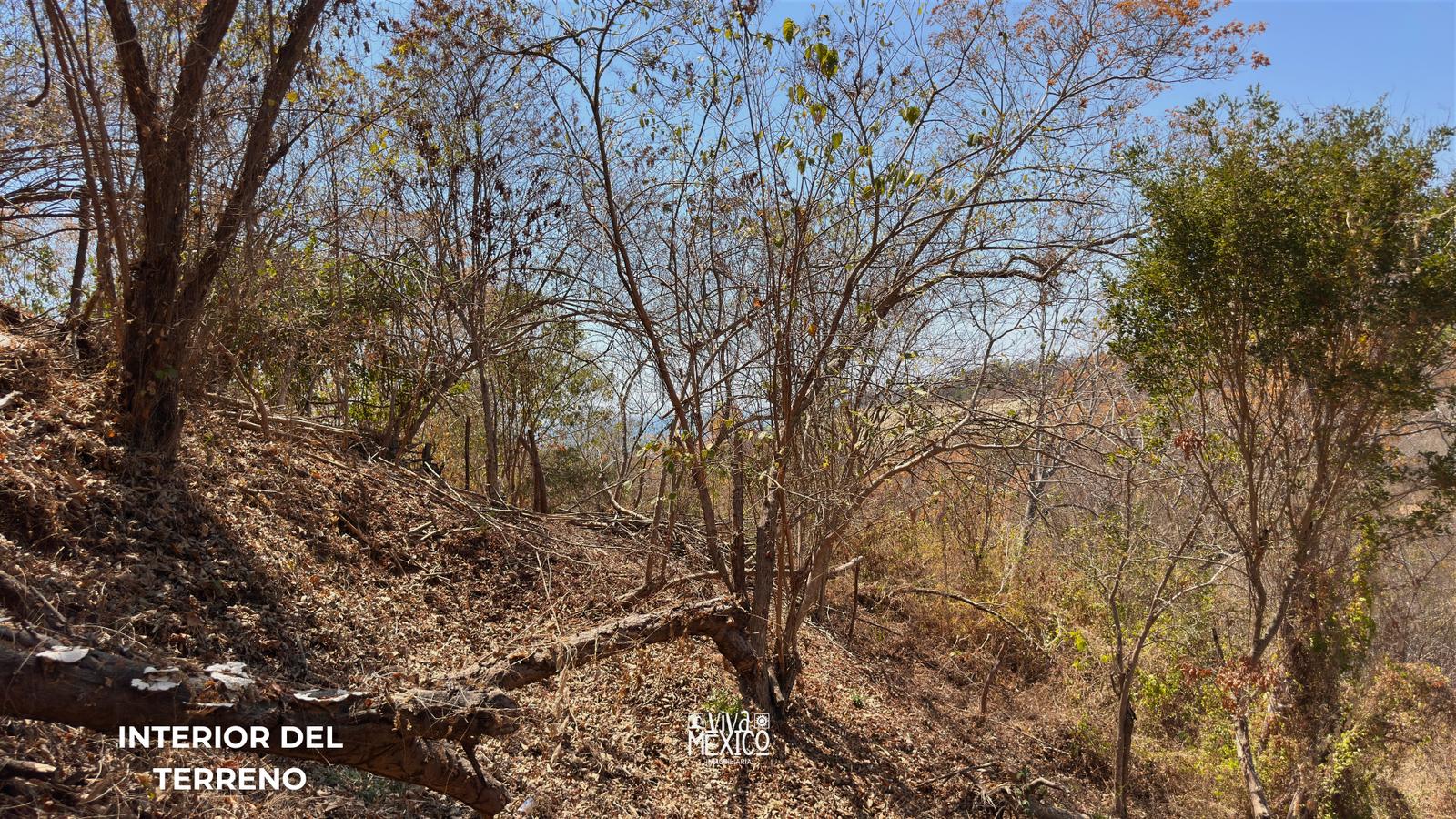 Land with Ocean View for Sale near Mazunte – Aragón Beach, Oaxaca 6