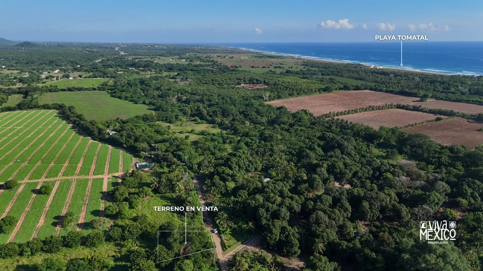 Terreno en venta en Playa El Tomatal, Oaxaca 7