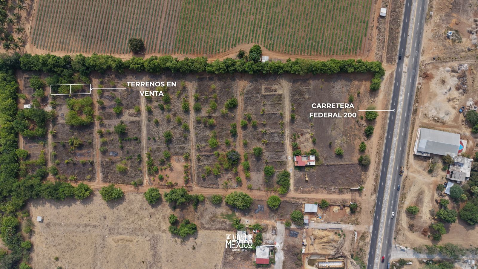 Lots for Sale near Residencial Costa Cumana – Ventanilla Beach, Oaxaca 14