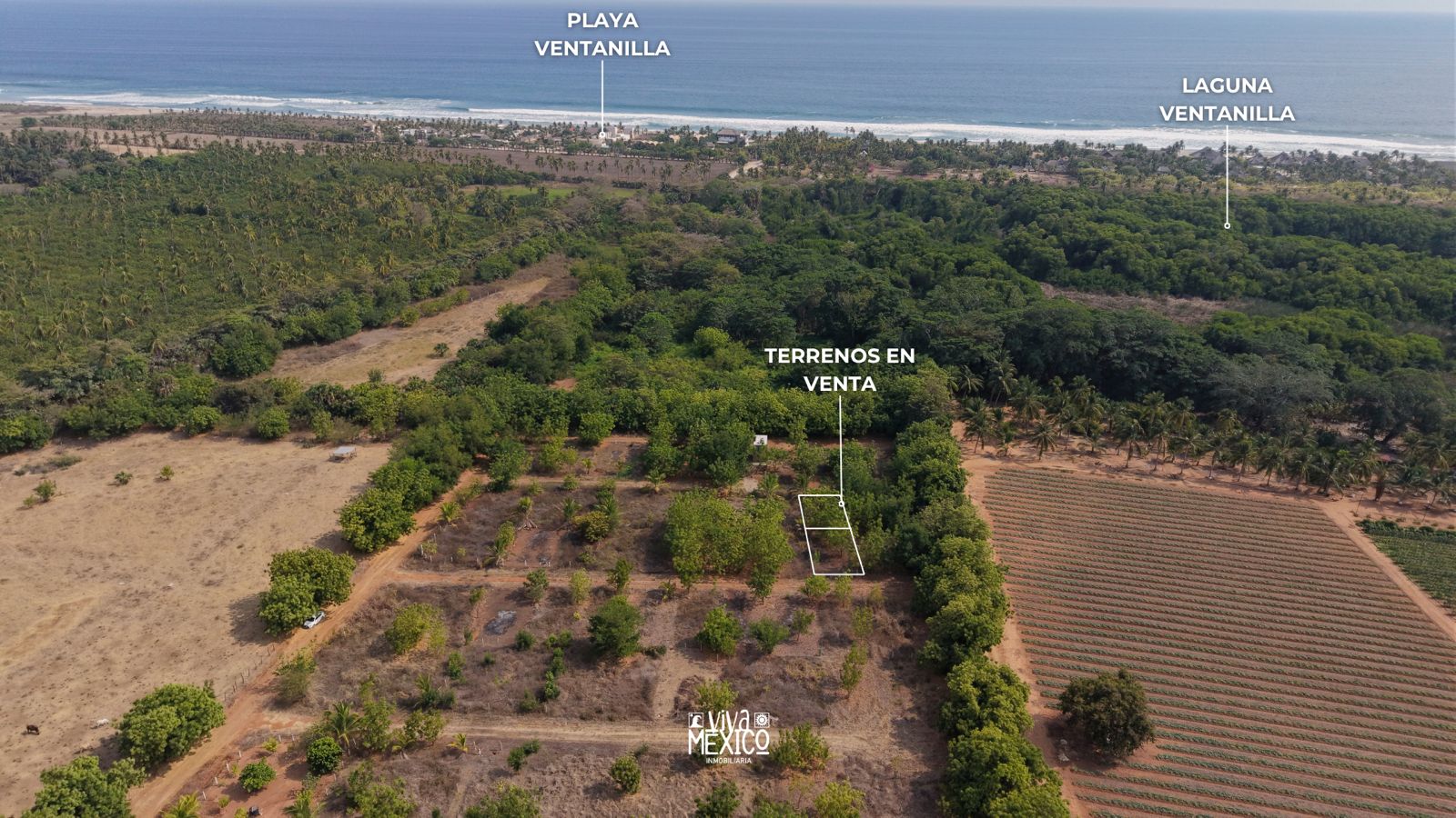 Lots for Sale near Residencial Costa Cumana – Ventanilla Beach, Oaxaca 18