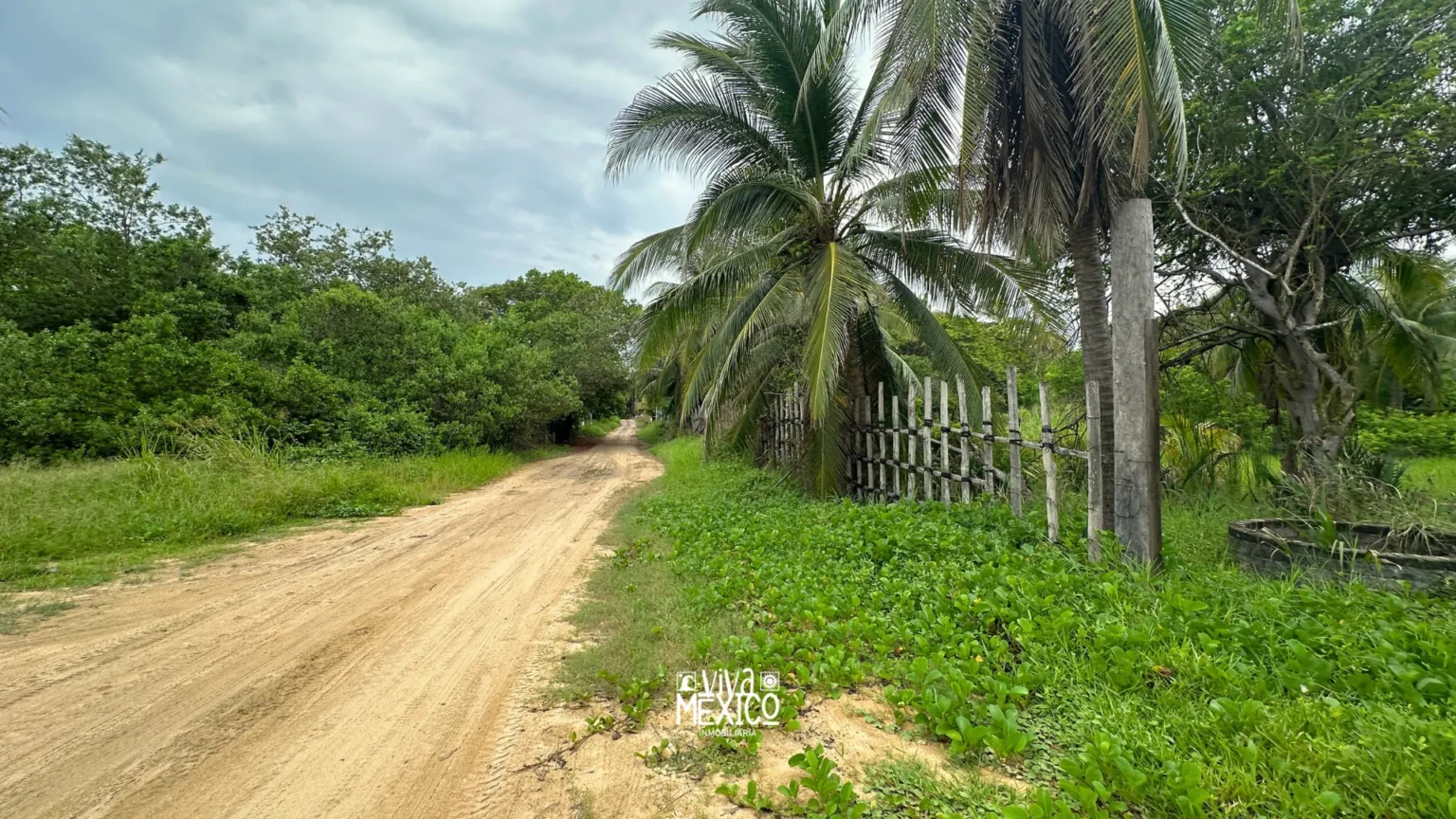 Terreno Beachfront - Playa El Tomatal, Oaxaca 6