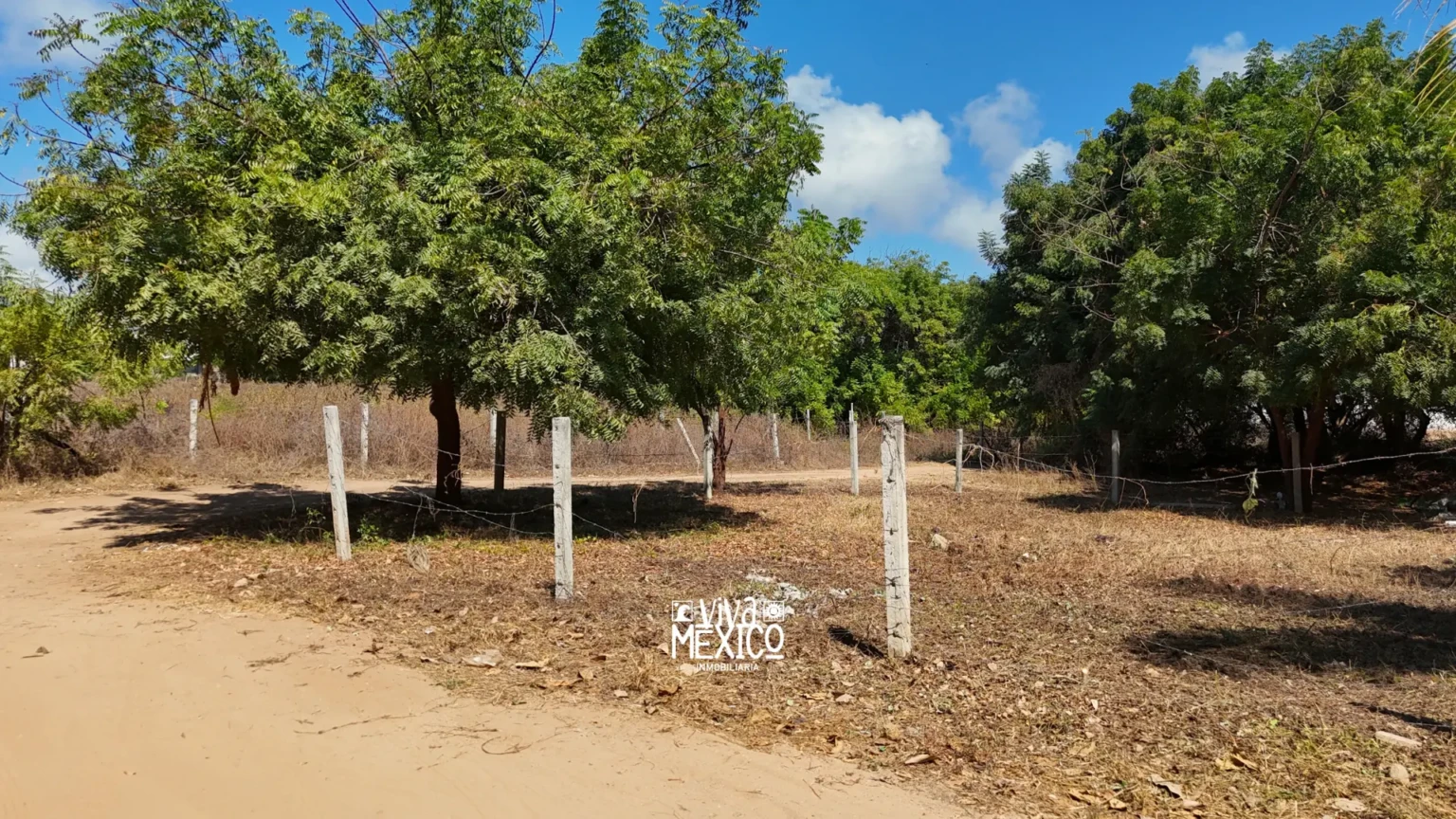 Lot in La Barra – Santa María Colotepec, Oaxaca 6