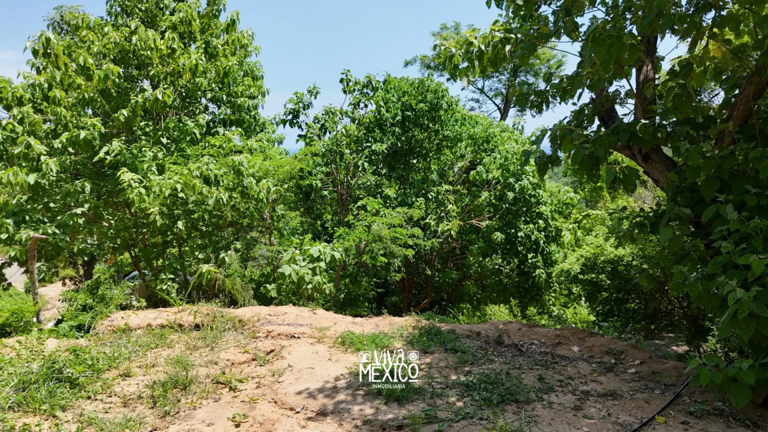 Terreno Playa San Agustinillo — Mazunte, Oaxaca 5