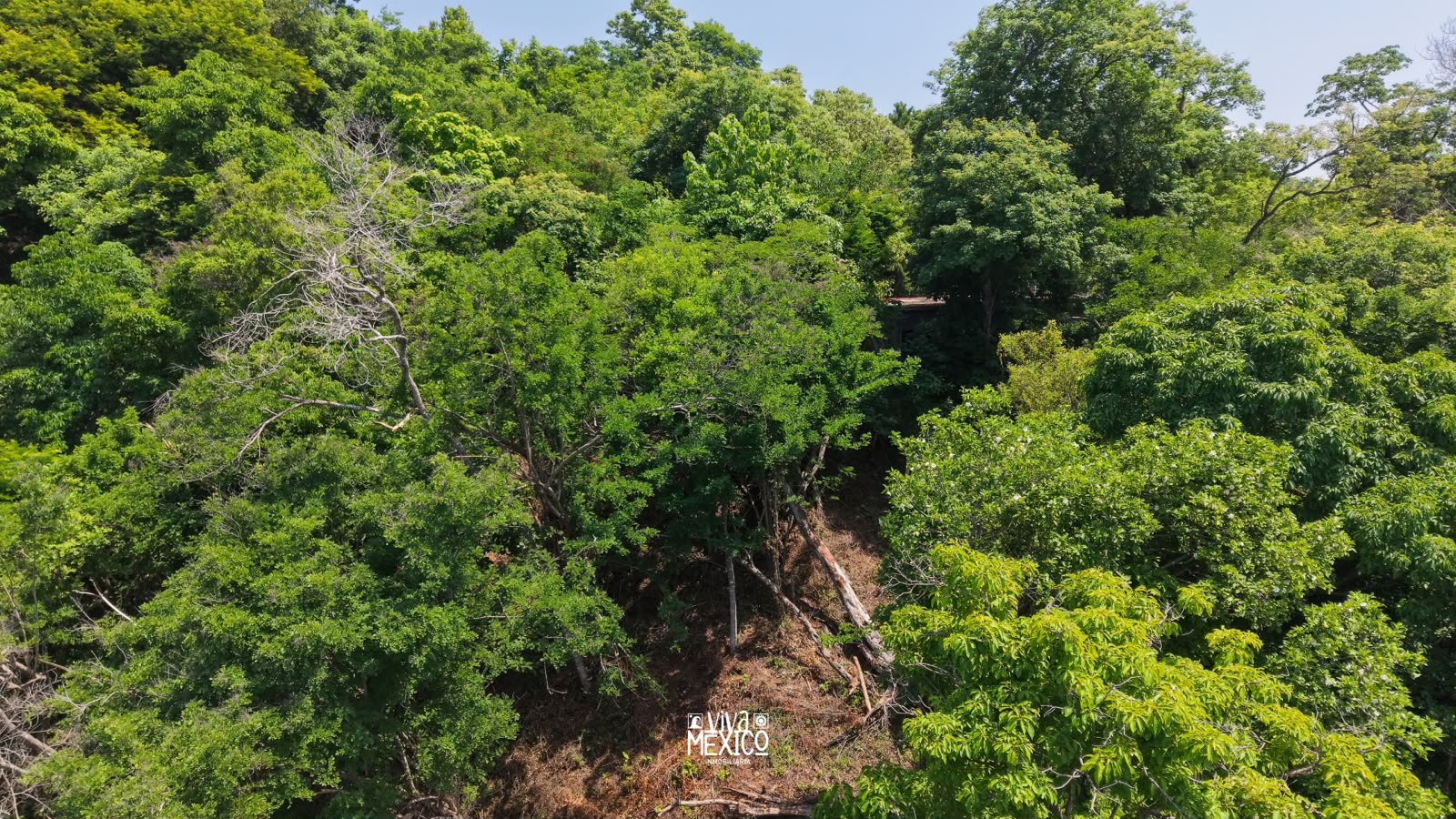 Land in San Agustinillo, Mazunte – Oaxaca | Ocean View 3