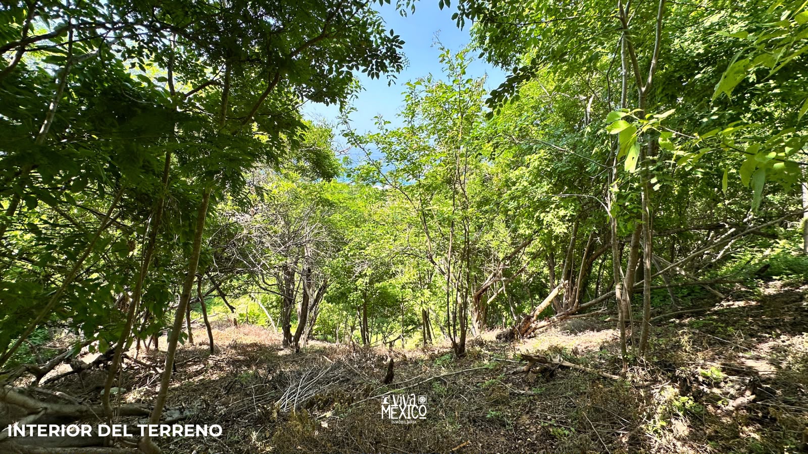 Land in San Agustinillo, Mazunte – Oaxaca | Ocean View 7