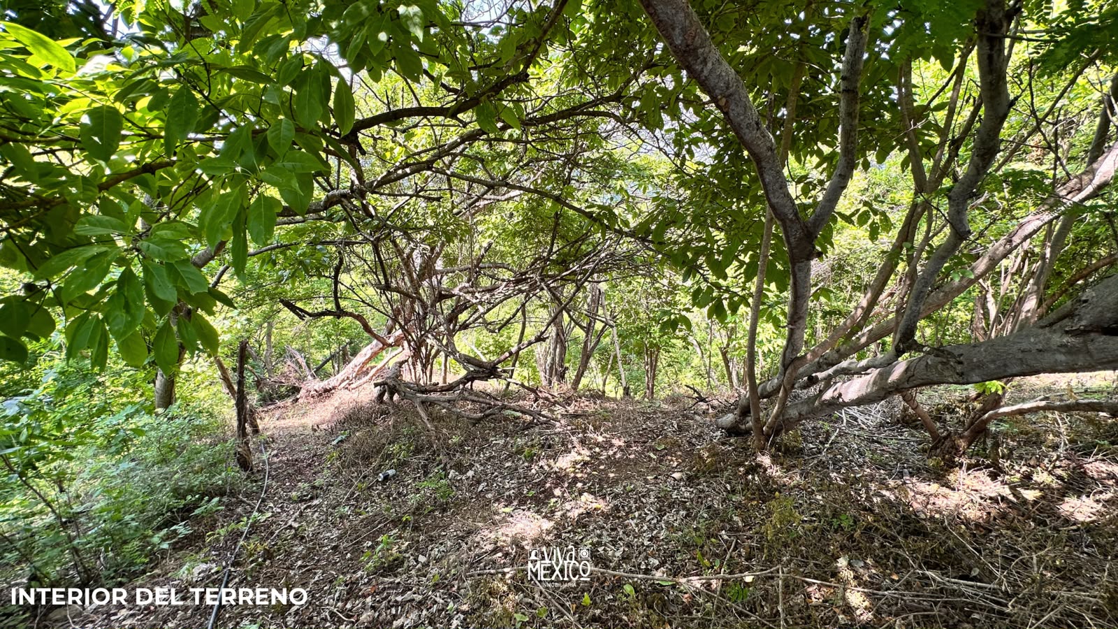 Land in San Agustinillo, Mazunte – Oaxaca | Ocean View 8