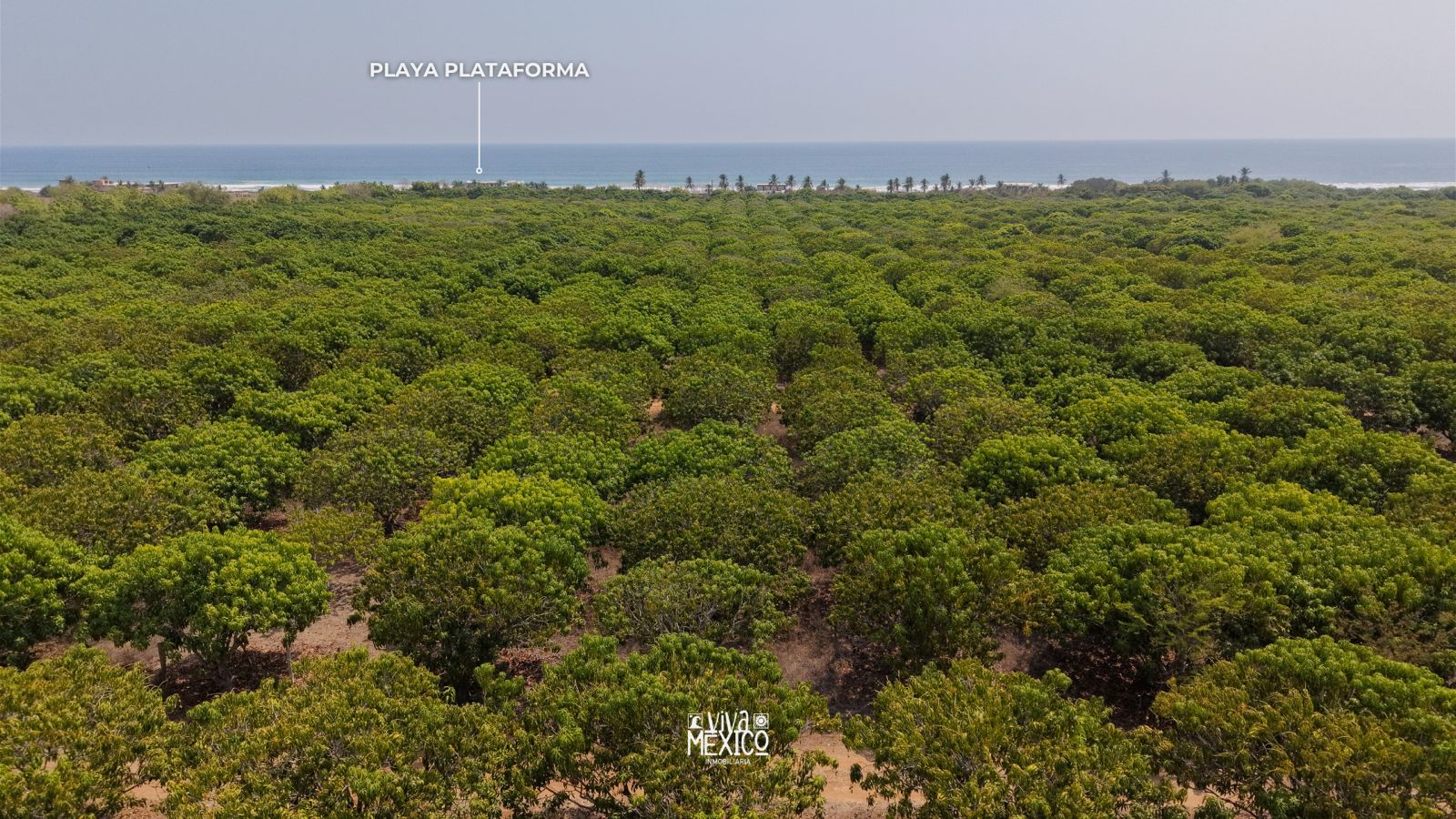 Lots for Sale in Fracc. Plataforma, near the Sea – Santa María Colotepec, Oaxaca 2