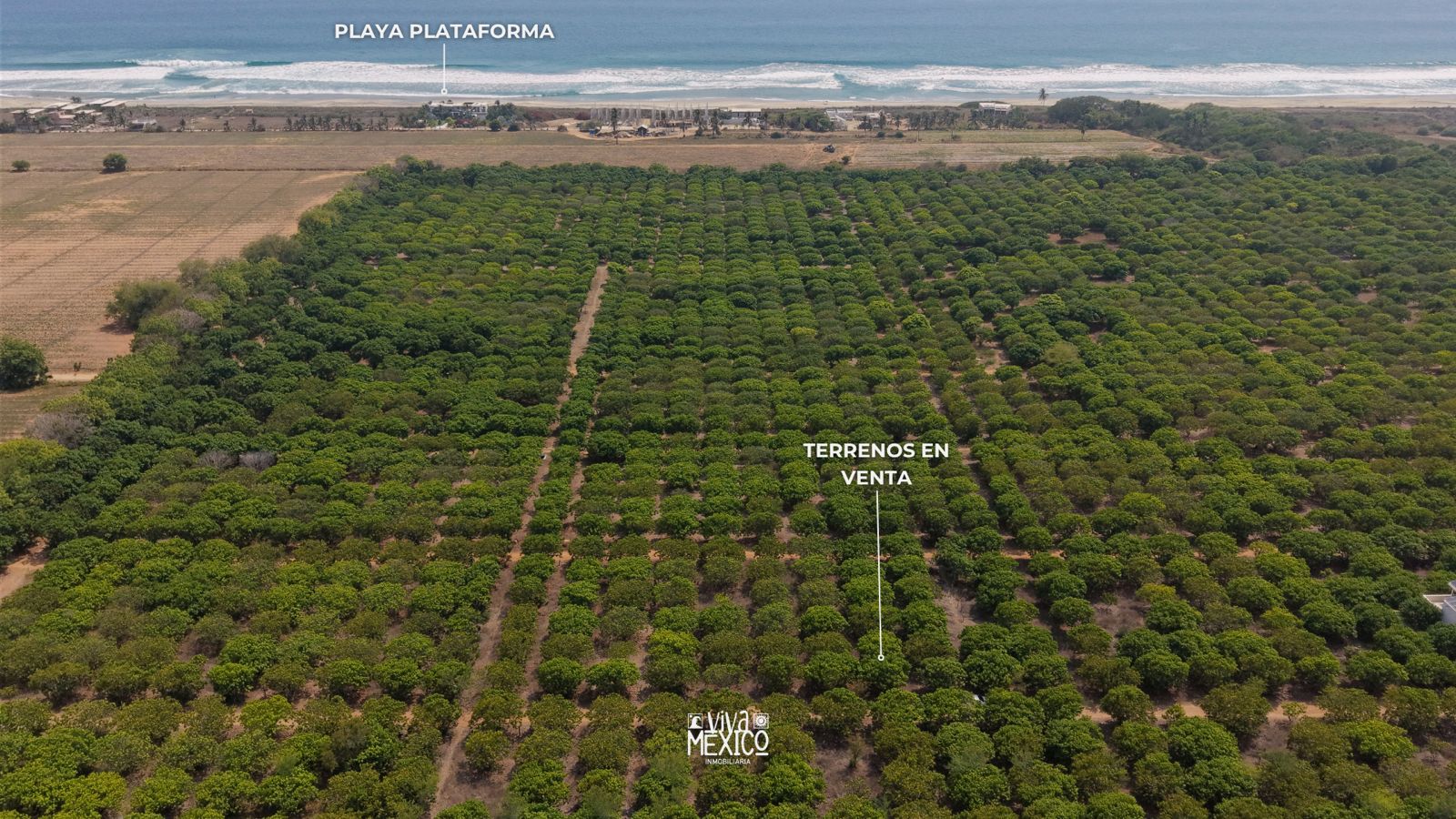 Lots for Sale in Fracc. Plataforma, near the Sea – Santa María Colotepec, Oaxaca 3