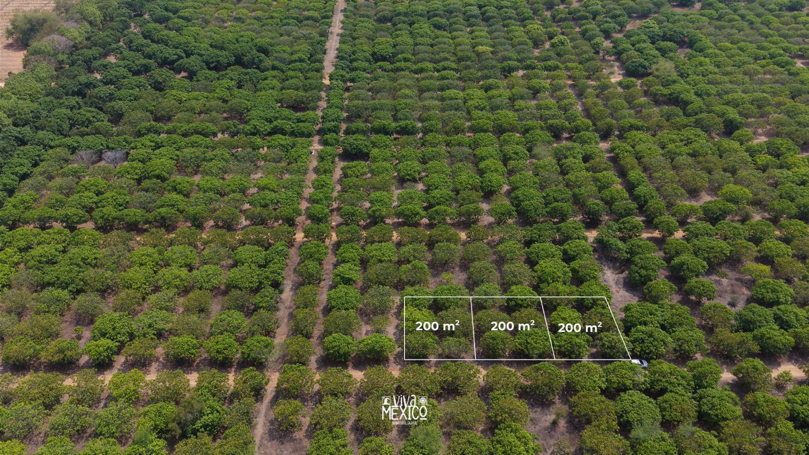 Lots for Sale in Fracc. Plataforma, near the Sea – Santa María Colotepec, Oaxaca 5