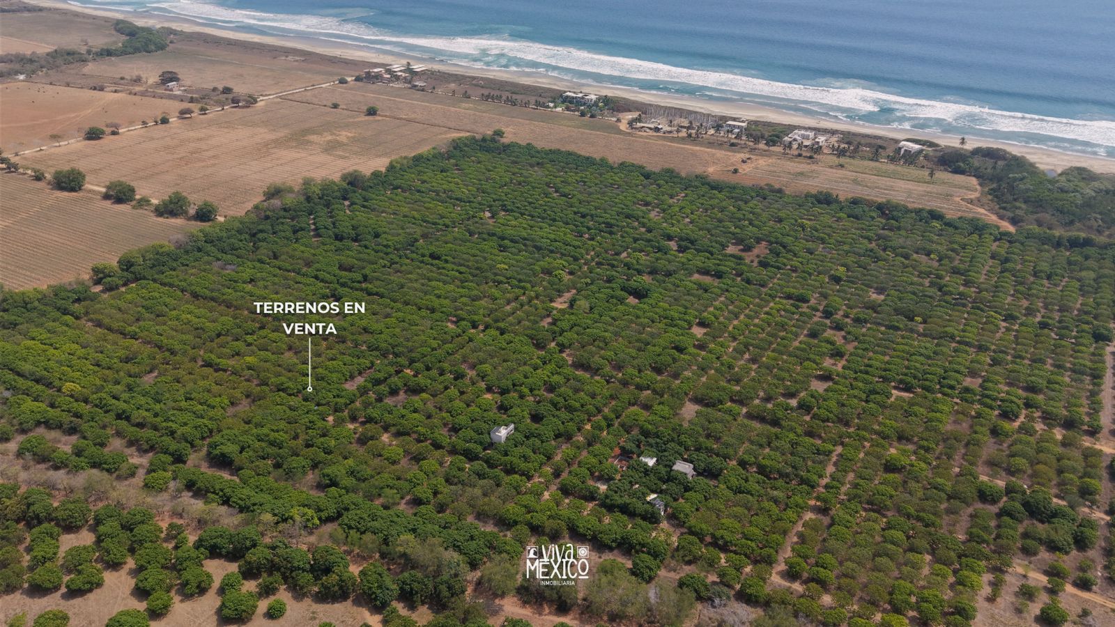 Lots for Sale in Fracc. Plataforma, near the Sea – Santa María Colotepec, Oaxaca 6