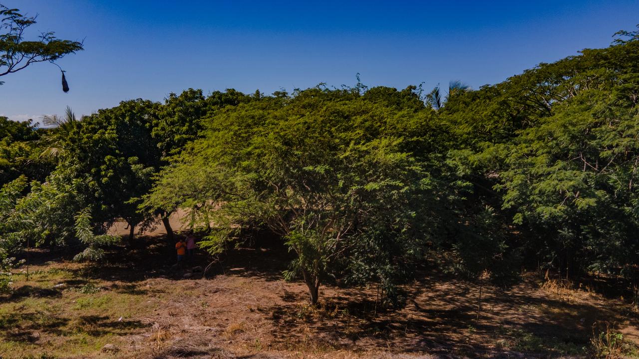 Terrenos En La Foresta, Barra De Colotepec, Puerto Escondido, Oaxaca 2