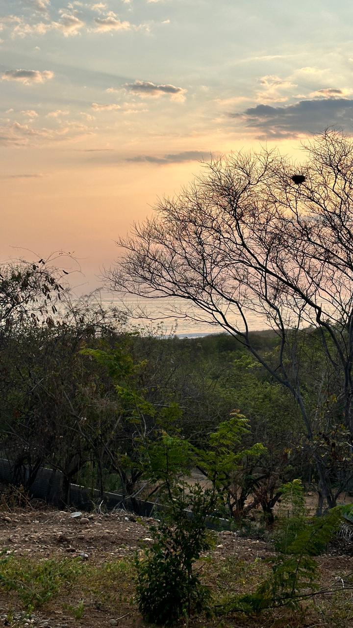 Terrenos En La Foresta, Barra De Colotepec, Puerto Escondido, Oaxaca 5