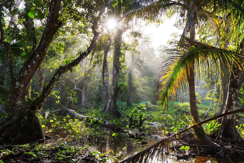 Ecological-and-Environmental-Restrictions-on-Your-Beach-Property