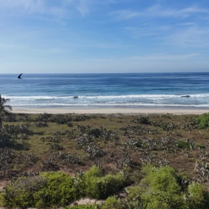 DJI_20241204093805_0685_D