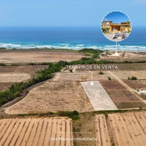 WhatsApp Image 2025-06-25 at 2.22.51 PM (1)