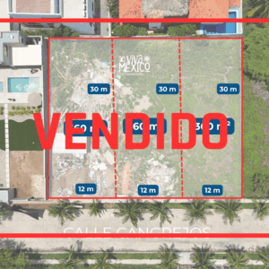 Terrenos en Carrizalillo Puerto Escondido - VENDIDO